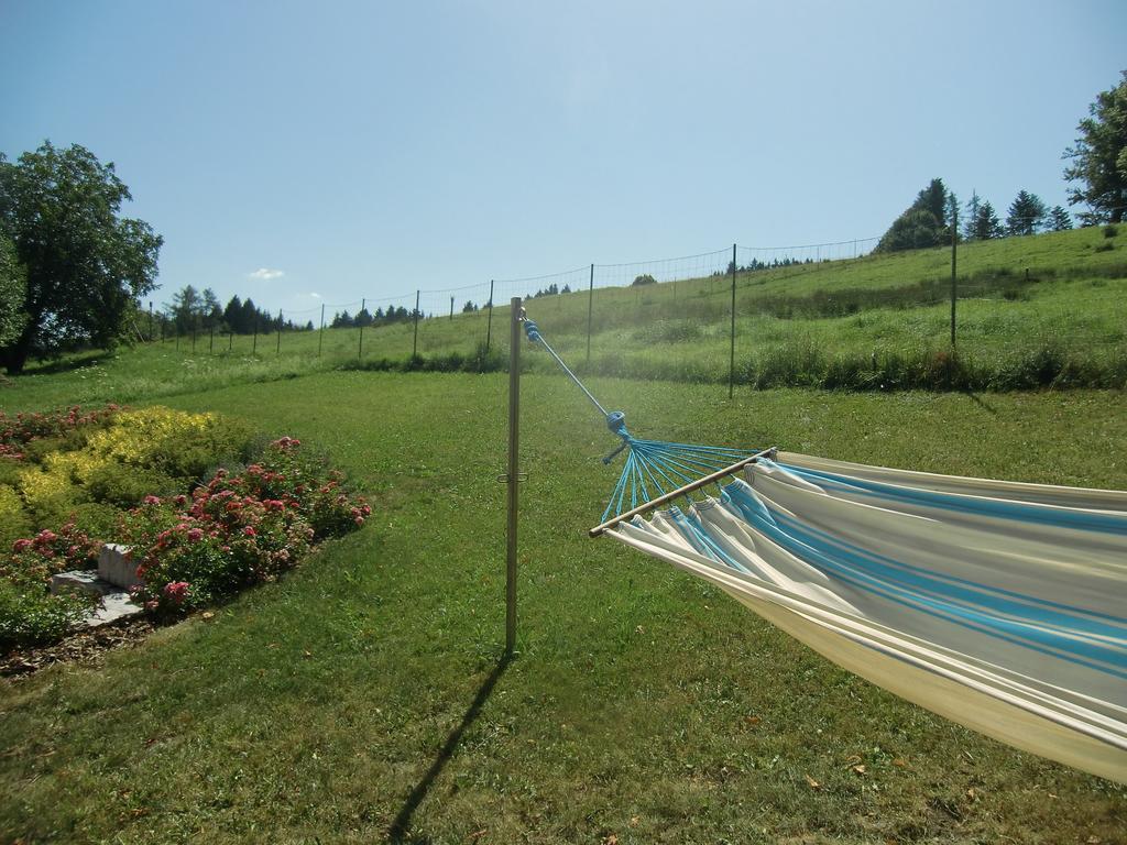 Ferienwohnungen Jodlbauerhof Weyregg Esterno foto