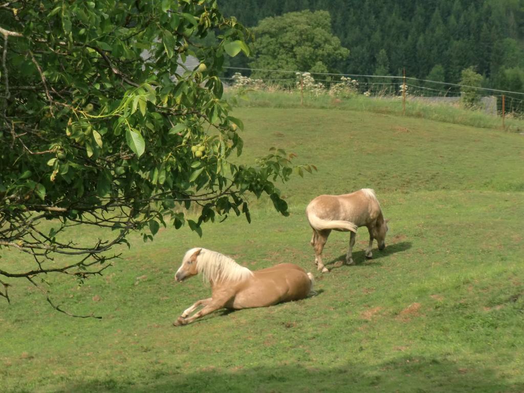 Ferienwohnungen Jodlbauerhof Weyregg Esterno foto
